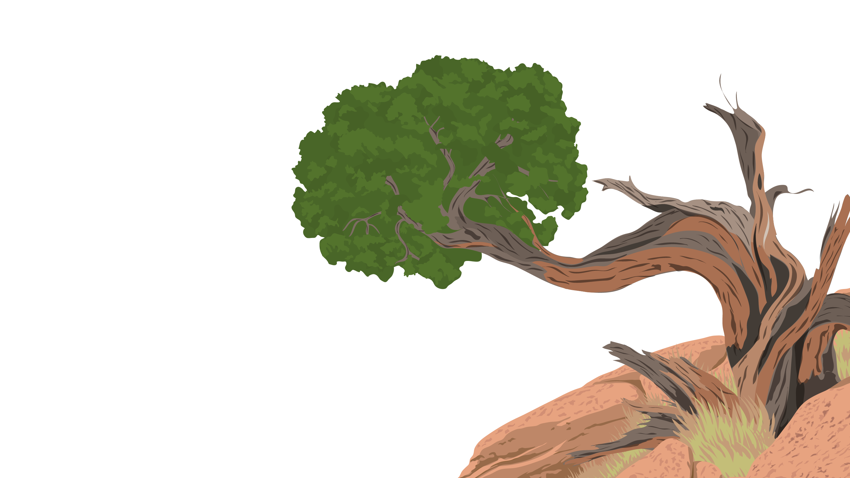 Digital illustration of a windswept tree.